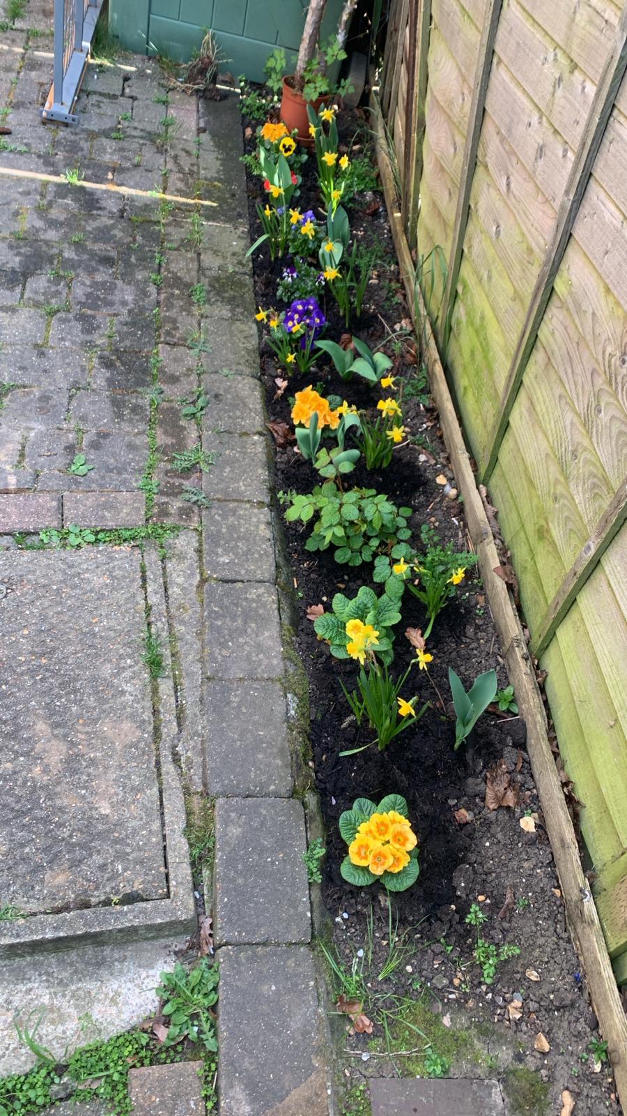My Lessons From Gardening (Part I)
